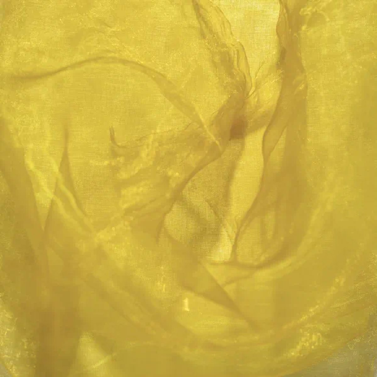Organza