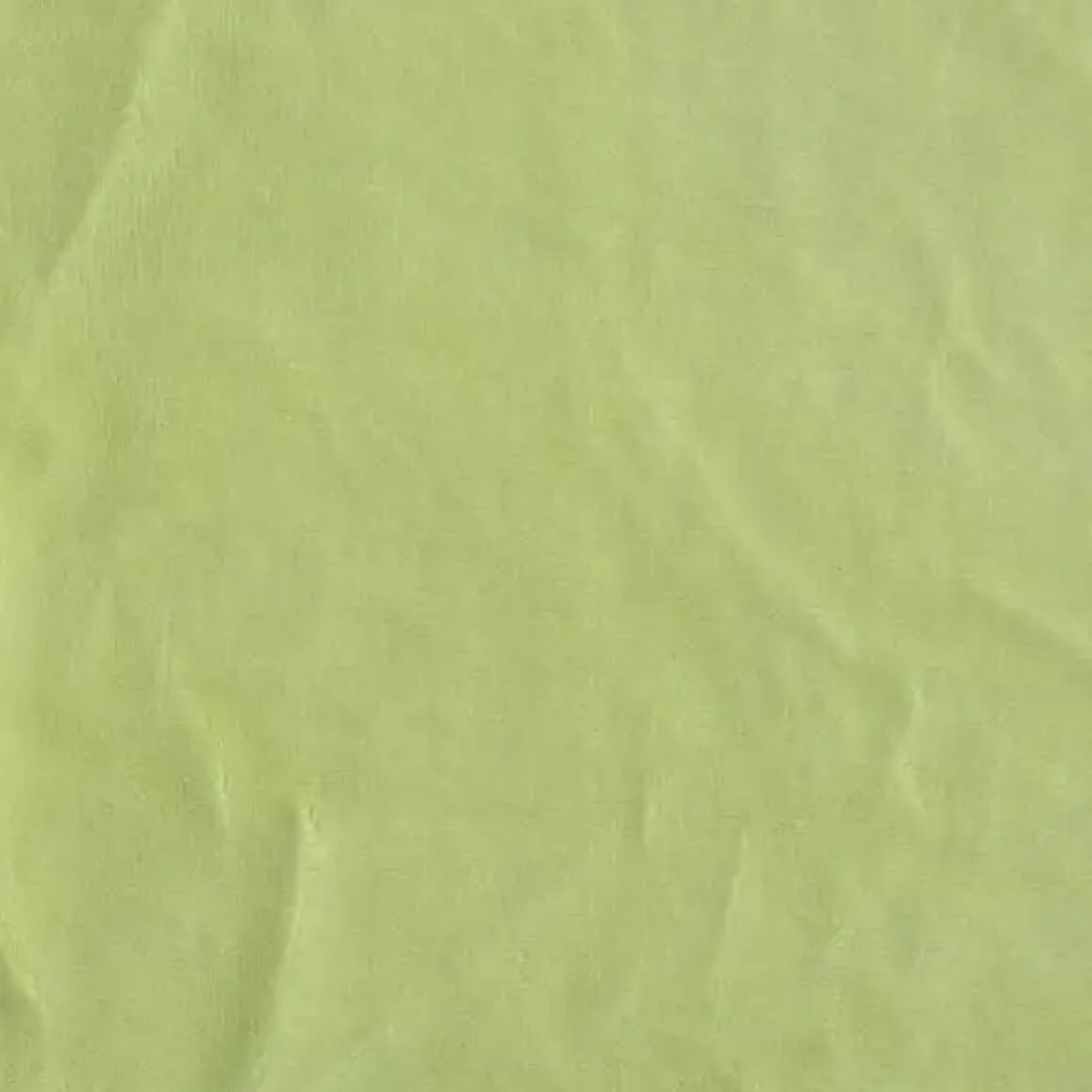 Terciopelo Deportivo