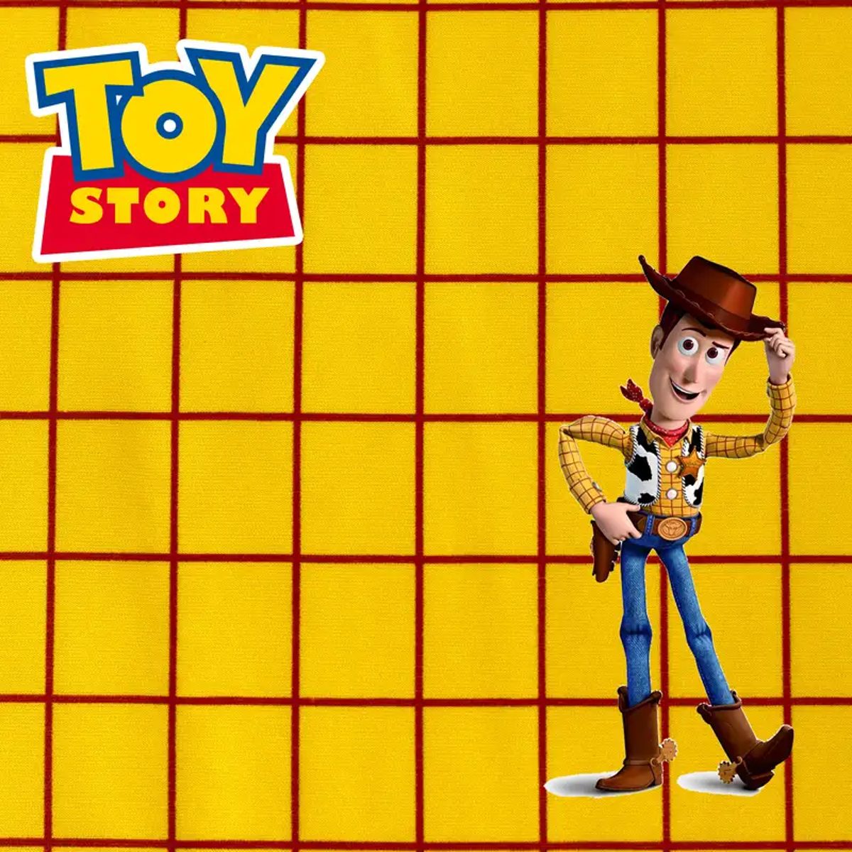 Tela Disfraz Woody de Toy Story