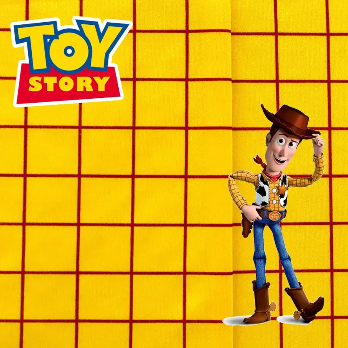 Tela Disfraz Woody de Toy Story