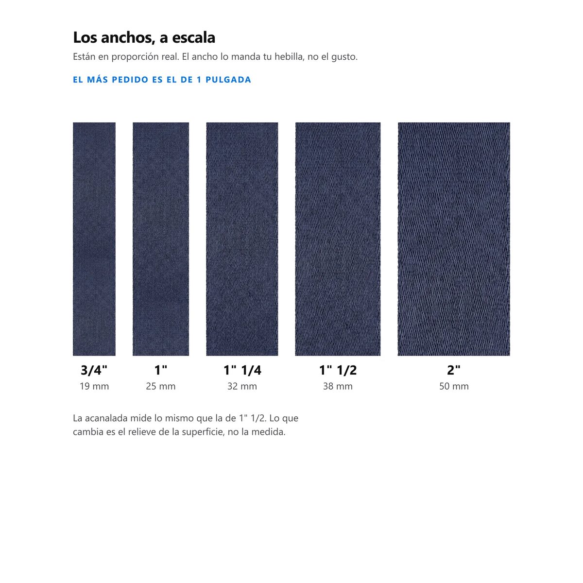 Los seis anchos de reata a escala real, de 19 a 50 milímetros, en azul oscuro