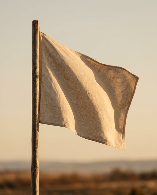 Telas para banderas